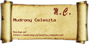 Mudrony Celeszta névjegykártya